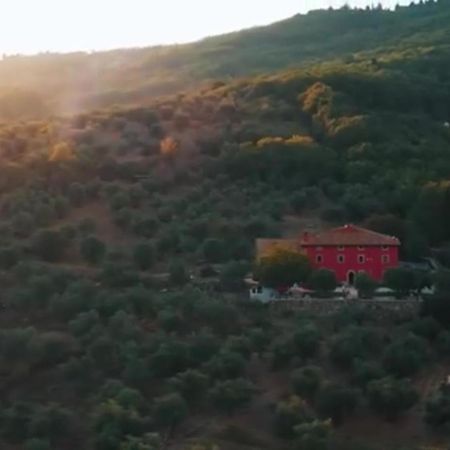 Podere Belvedere Tuscany Villa Pontassieve Exterior foto